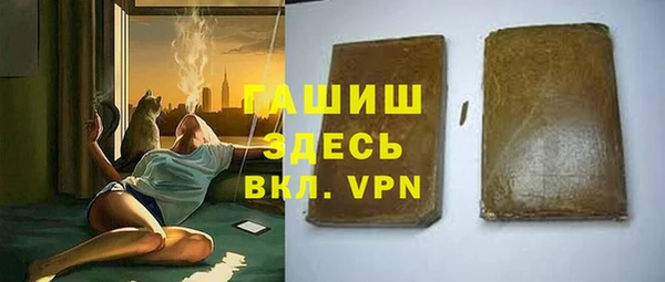 индика Верхний Тагил