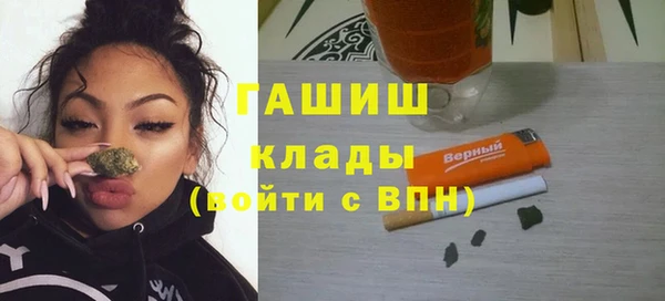 индика Верхний Тагил